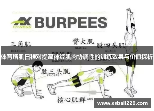 体育增肌日程对提高神经肌肉协调性的训练效果与价值探析